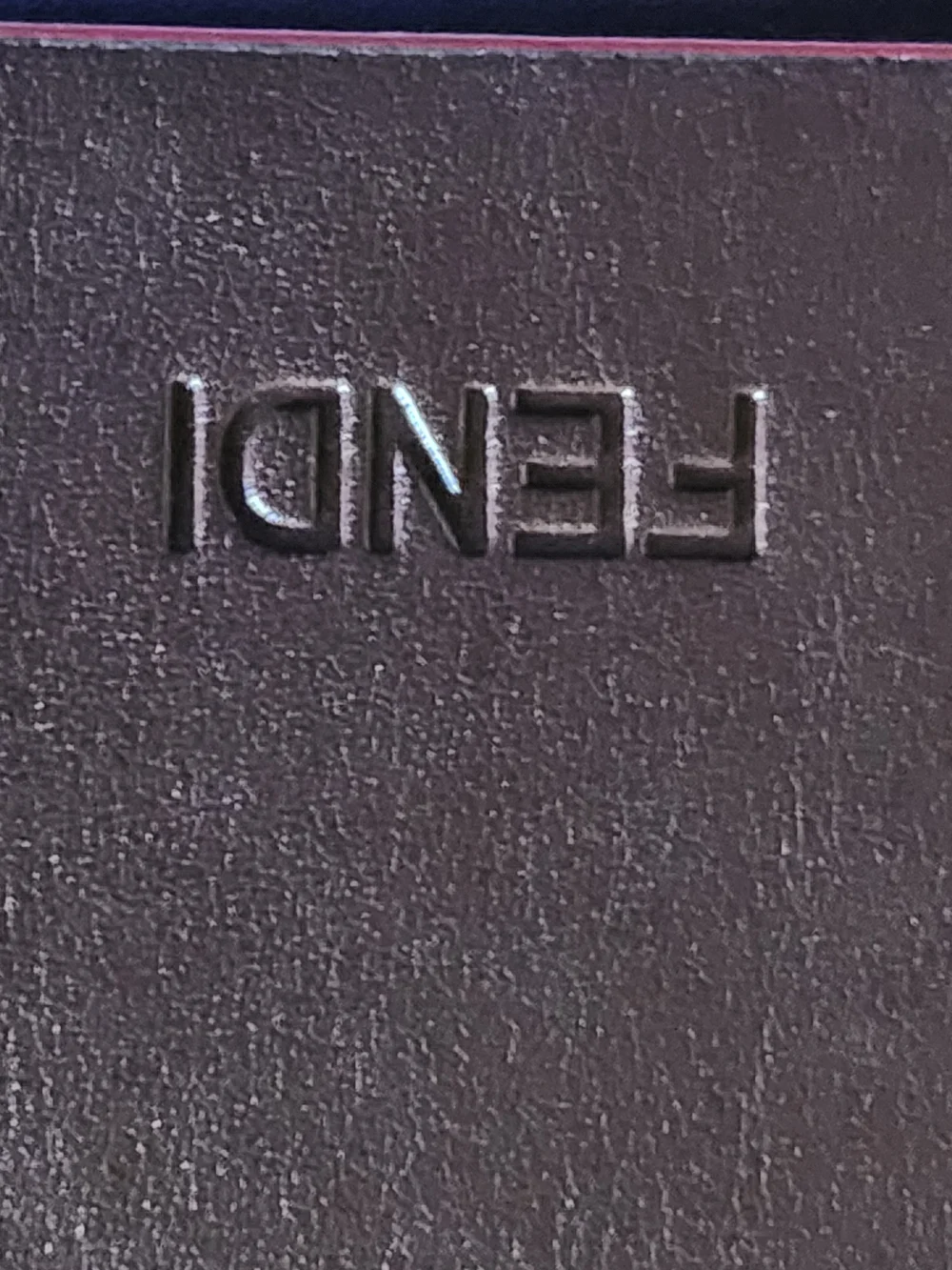 Fendi Sunglasses With Pdotective Leather Case